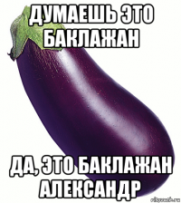 думаешь это баклажан да, это баклажан александр