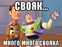 свояк... много-много свояка