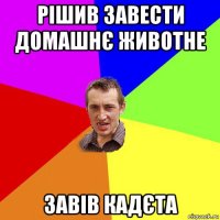 рішив завести домашнє животне завів кадєта