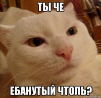 ты че ебанутый чтоль?