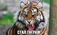 я стал тиграм