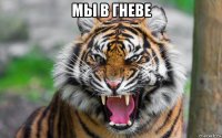 мы в гневе 