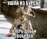 ушла из бурсы теперь добби свободен