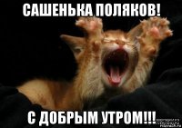 сашенька поляков! с добрым утром!!!