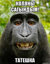 коляны сагындым! татешка