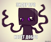 эндер бро несёт добро