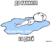 до каникул 20 дней