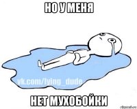 но у меня нет мухобойки