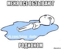 меня все обзывают родионом