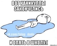 вот каникуллы закончелись и опять в школу:(