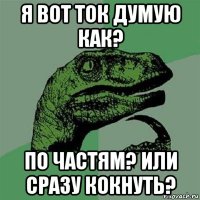 я вот ток думую как? по частям? или сразу кокнуть?