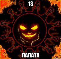 13 палата