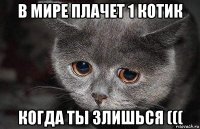 в мире плачет 1 котик когда ты злишься (((