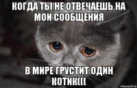 когда ты не отвечаешь на мои сообщения в мире грустит один котик(((