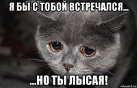 я бы с тобой встречался... ...но ты лысая!