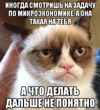 иногда смотришь на задачу по микроэкономике, а она такая на тебя а что делать дальше не понятно