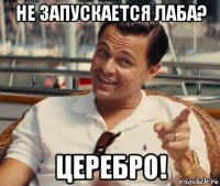 не запускается лаба? церебро!