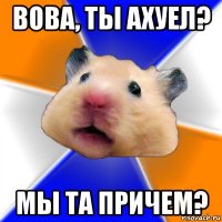 вова, ты ахуел? мы та причем?