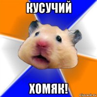 кусучий хомяк!