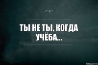 Ты не ты, когда учёба...