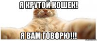 я крутой кошек! я вам говорю!!!