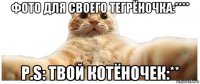 фото для своего тегрёночка:**** p.s: твой котёночек:**