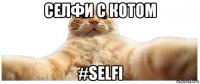 селфи с котом #selfi