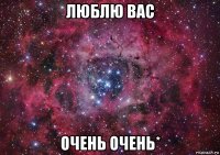 люблю вас очень очень*