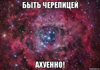 быть черепицей ахуенно!