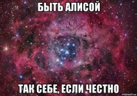 быть алисой так себе, если честно