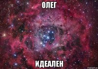 олег идеален