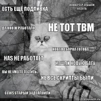 есть ещё подливка нашли новую багу не тот tbm ccws старый задеплоили has не работает конвертер забыли отдать не все скрипты были да оно ж работало вы не умеете тестить новая сборка готова