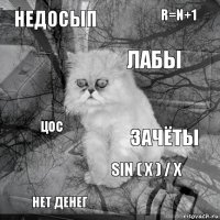 недосып зачёты лабы нет денег ЦОС R=N+1 sin ( x ) / x   