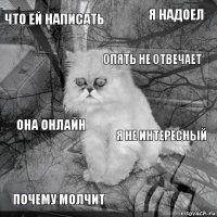 Что ей написать я не интересный опять не отвечает почему молчит она онлайн я надоел    