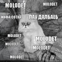 Molodet MOLODET лау далбаеб molodet Molodet Molodet molodet инфа сотка molodet 