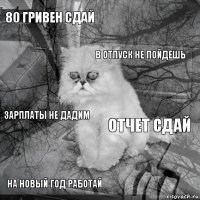 80 гривен сдай отчет сдай в отпуск не пойдешь на новый год работай зарплаты не дадим     