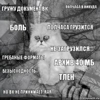 Гружу документ вк Архив 40 мб Полчаса грузится Но вк не принимает .rar Гребаные форматы Полчаса в никуда Тлен Боль Безысходность Не загрузился