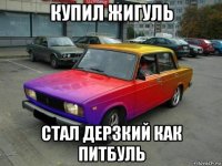 купил жигуль стал дерзкий как питбуль