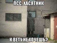 псс, хасятник к вету не хочешь?