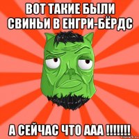 вот такие были свиньи в енгри-бёрдс а сейчас что ааа !!!!!!!