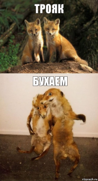 ТРОЯК Бухаем