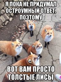 я пока не придумал остроумный ответ, поэтому вот вам просто толстые лисы