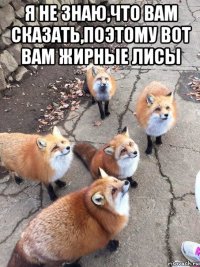 я не знаю,что вам сказать,поэтому вот вам жирные лисы 