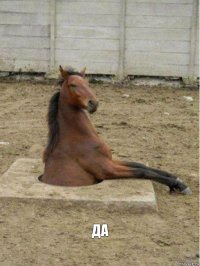  ДА