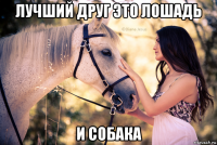 лучший друг это лошадь и собака