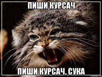 пиши курсач пиши курсач, сука