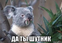 да ты шутник