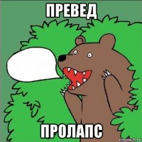 превед пролапс