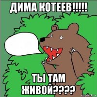 дима котеев!!!!! ты там живой????