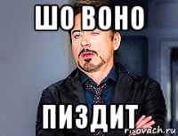 шо воно пиздит
